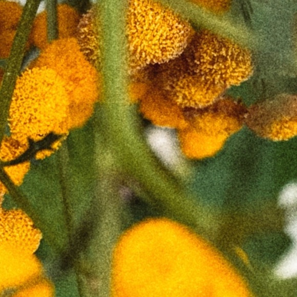 Tarot Card Enamel Pin - The Donut - Picture 4 of 4